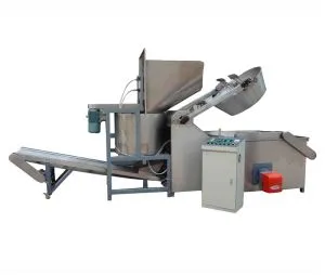 Fryer leantainneach